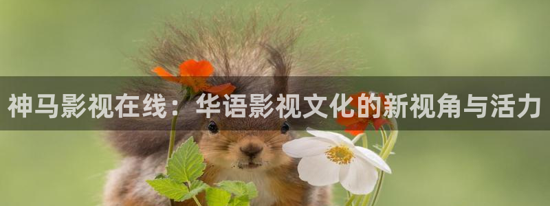 好男人神马影院在线：神马影视在线：华语影视文化的新视角与活力