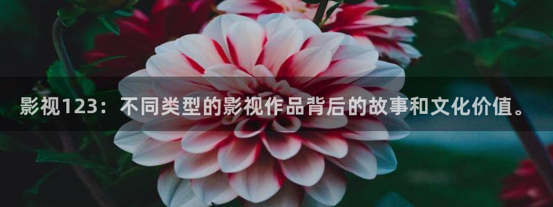 神马电影影院天堂：影视123：不同类型的影视作品背后的故事和文化价值。